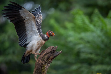 94fb7468-d509-452e-9de0-5c1ac711c35c