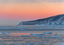 10eb29f0-3a29-4016-b3d9-cf429097907d