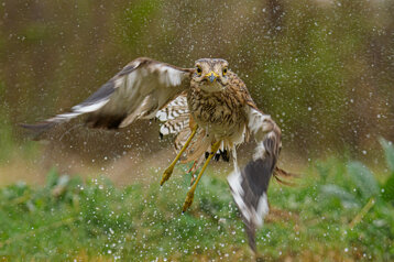 8e8a2e9a-8bde-4aac-ac9e-a28c44377794