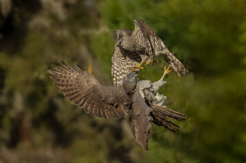 b7e24085-525c-4cb0-a163-6694e11a7dfb