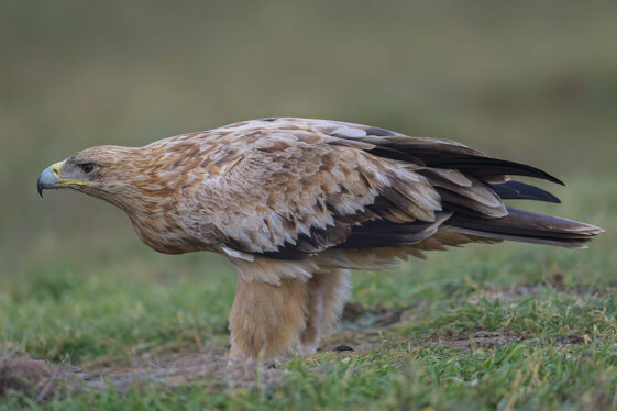 ecb8244c-664b-4ba5-ad57-8562202ec129