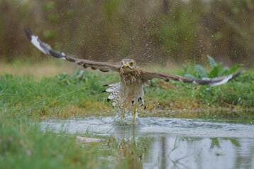 320e8aa1-ad7f-494f-bbd5-8198ffad5376