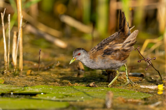 01616049-caf5-4e55-9527-18b41b37a01c