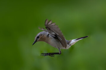 e50466ce-1ff5-4fc4-aa4f-01662a648b99