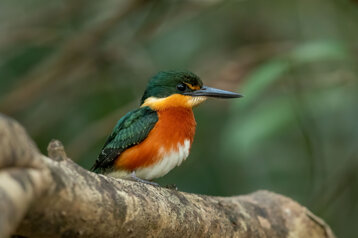 57a43f63-f4ae-4c30-bab5-5b1805abe833 57a43f63-f4ae-4c30-bab5-5b1805abe833