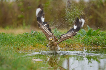 3b91e28e-ba1d-4843-a49d-31f03e02cb63