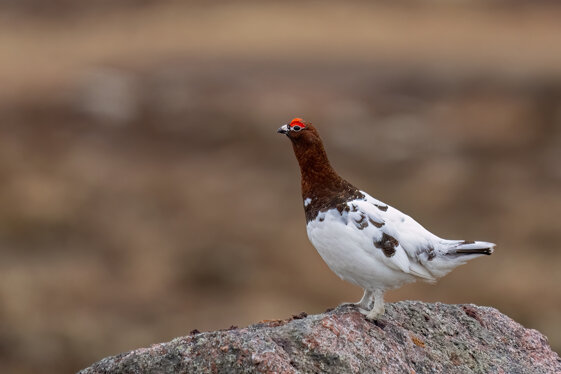 43db4e5c-bf13-4bef-8e38-773daf7af84a