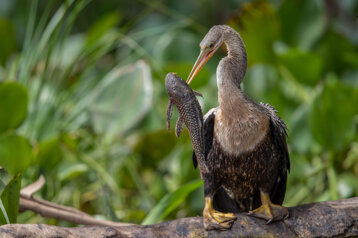 1cb9428b-92f4-4760-96ab-83009c367d73 1cb9428b-92f4-4760-96ab-83009c367d73