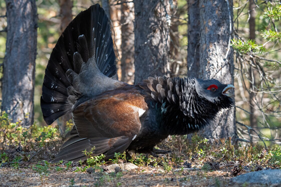 8023423b-19d5-4612-a48f-0fea1283be5a