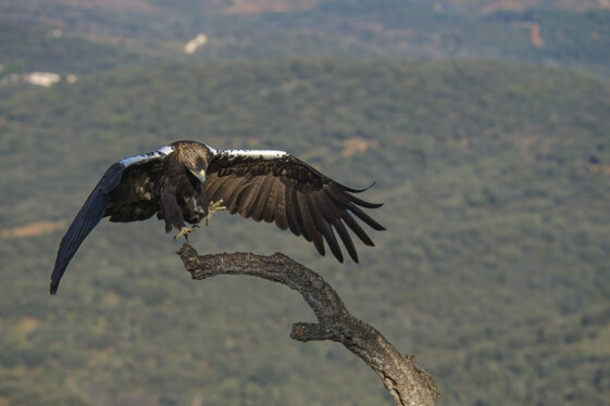 16f56aad-73bb-40b8-a4e2-04fff720505e