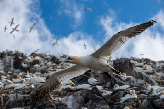 3f9a1cc9-23cf-42f7-a12d-acfcbff15637