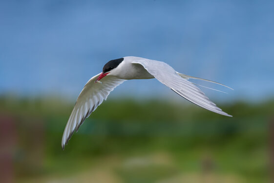 a1c73bda-7488-473e-99d8-04193a8600b1