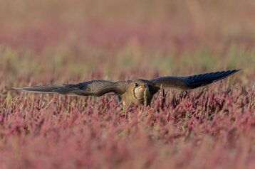 5654fc9c-b2ba-4180-a39c-0c5bad2812b7