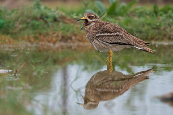 3469f37e-8d88-4905-bc03-82ba37ee08d0