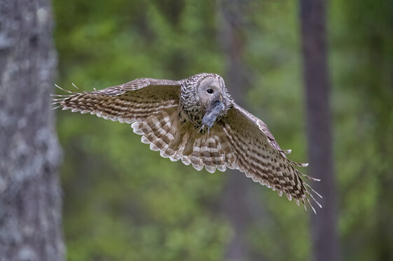 eb0d62c1-b59d-4247-9ced-94f157f1d52f