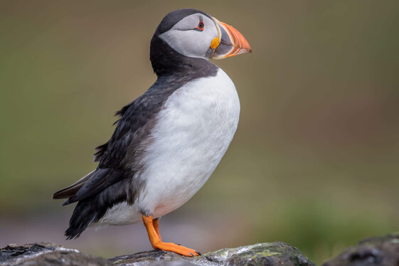 a62d4cc3-055c-46df-85ef-ba85b350f39f