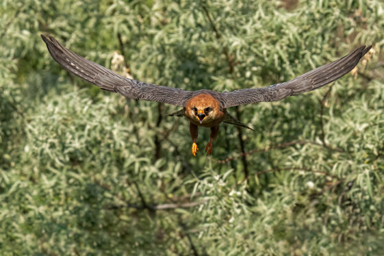 0c78c638-1738-4117-b8c3-83feb6245250