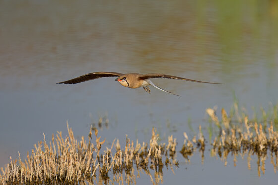 a0fc452b-6bde-4ae7-8c69-0c168f9d19eb