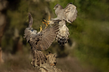 785cf543-1dc5-4571-b960-e3428aa13bf7