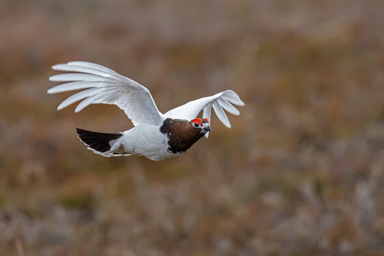 fee1e235-ae0c-41a0-b506-91e7eae1b837