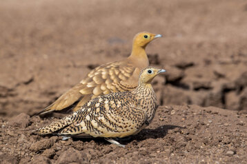 97b35aab-65ac-4edf-b1f6-4c72b8391f9f