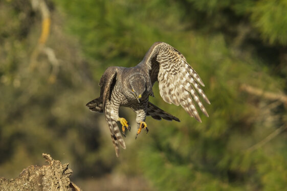 ab7f3b6f-72db-469b-a025-3d97cc60fb97