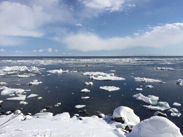 e8bd9737-bf90-4612-9db1-fa86e1f400a1