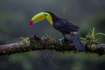 84104f75-8a28-4df0-b256-b8c7a9c7b740