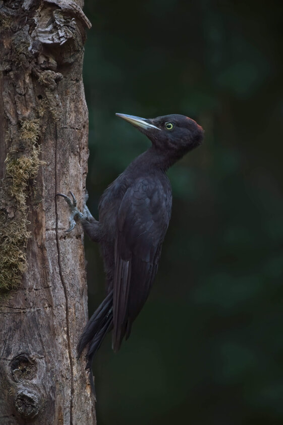 c1ef88e2-79dd-4c99-a71a-6b9a6d6012a4