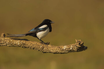 b547f276-d38c-4135-b7f7-3f26690a8ef3