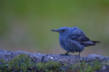 3df94931-dcff-4032-9160-dcb5e7aae1d2