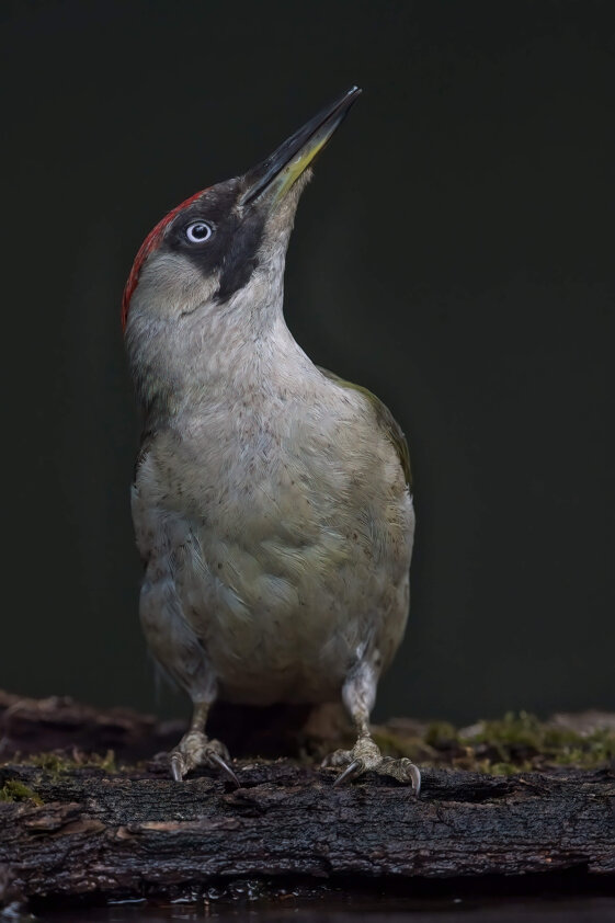 18e6133f-9235-4e3f-8466-1dc0bc2dc071