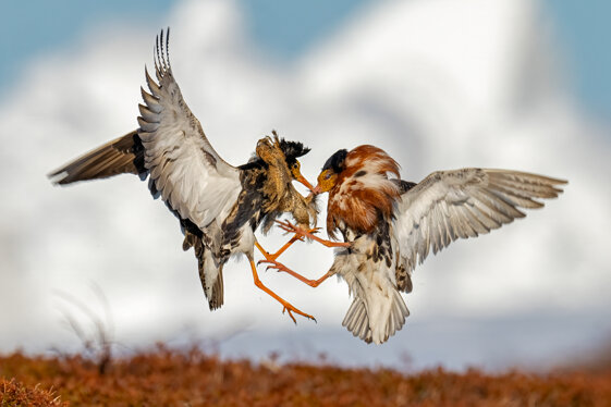 ddad05d0-4a1e-414e-9de0-8356d4062187