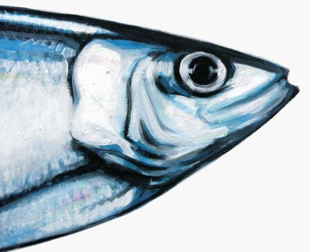 33abafd1877b33a39aee26cf48bb65a3d98ca537 33abafd1877b33a39aee26cf48bb65a3d98ca537