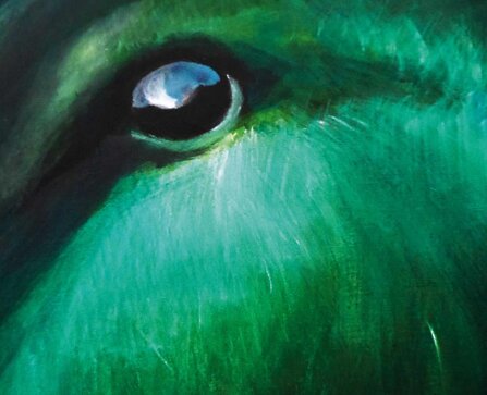 a29076708fd9000f514bf71550675baff5978a9d a29076708fd9000f514bf71550675baff5978a9d