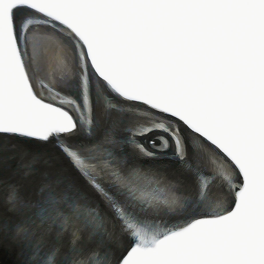 b44610ed862c661b5f1e10491438d2c4d901e298