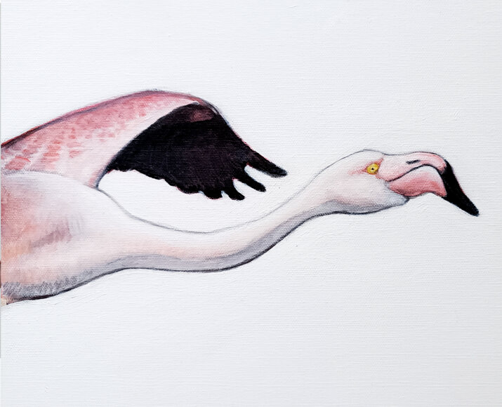 makemesoberflamingo_30x81_lorenzomarabini_ok_dett_02_w.jpeg