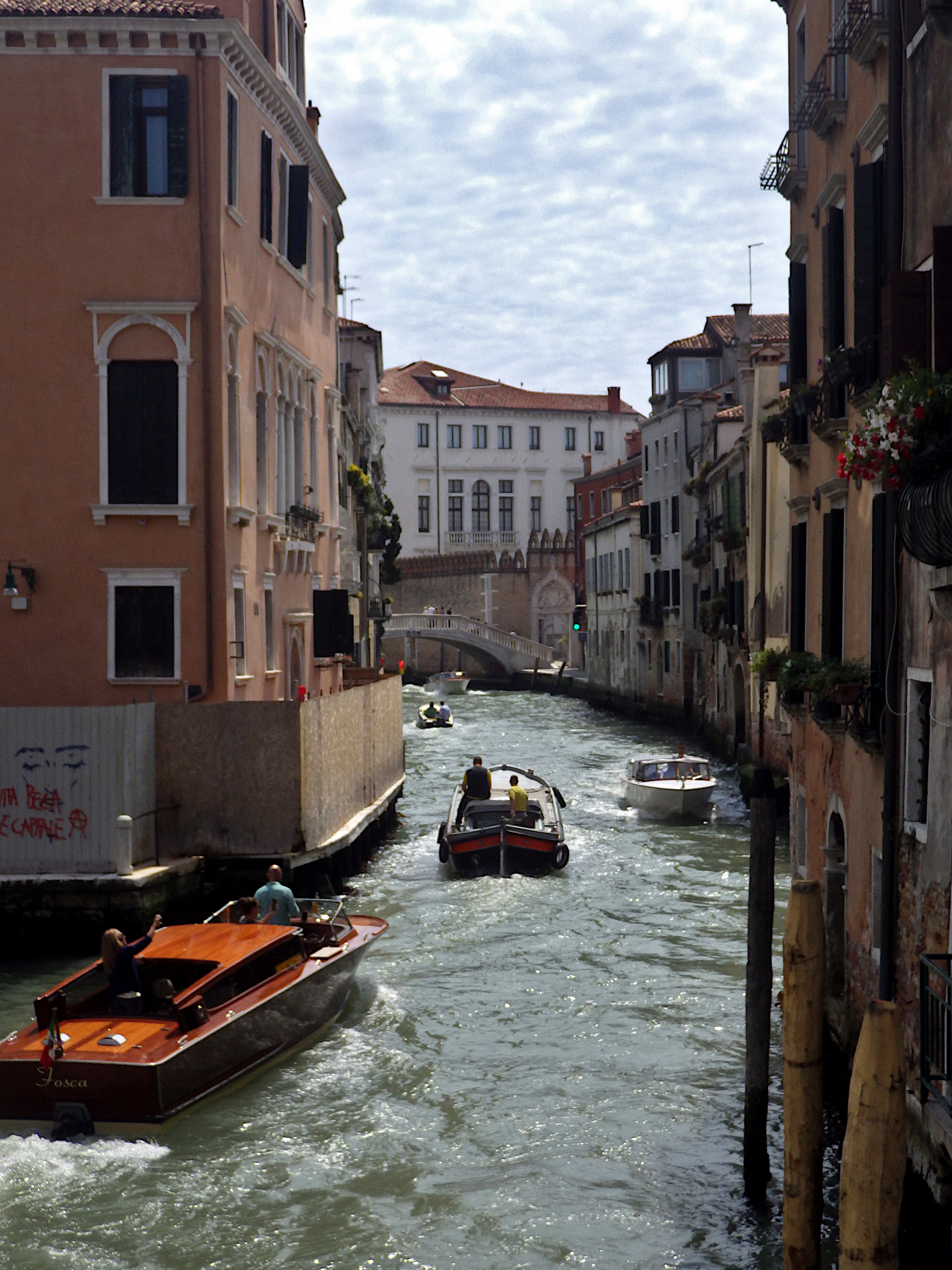 imgp2629g.jpeg imgp2629g.jpeg