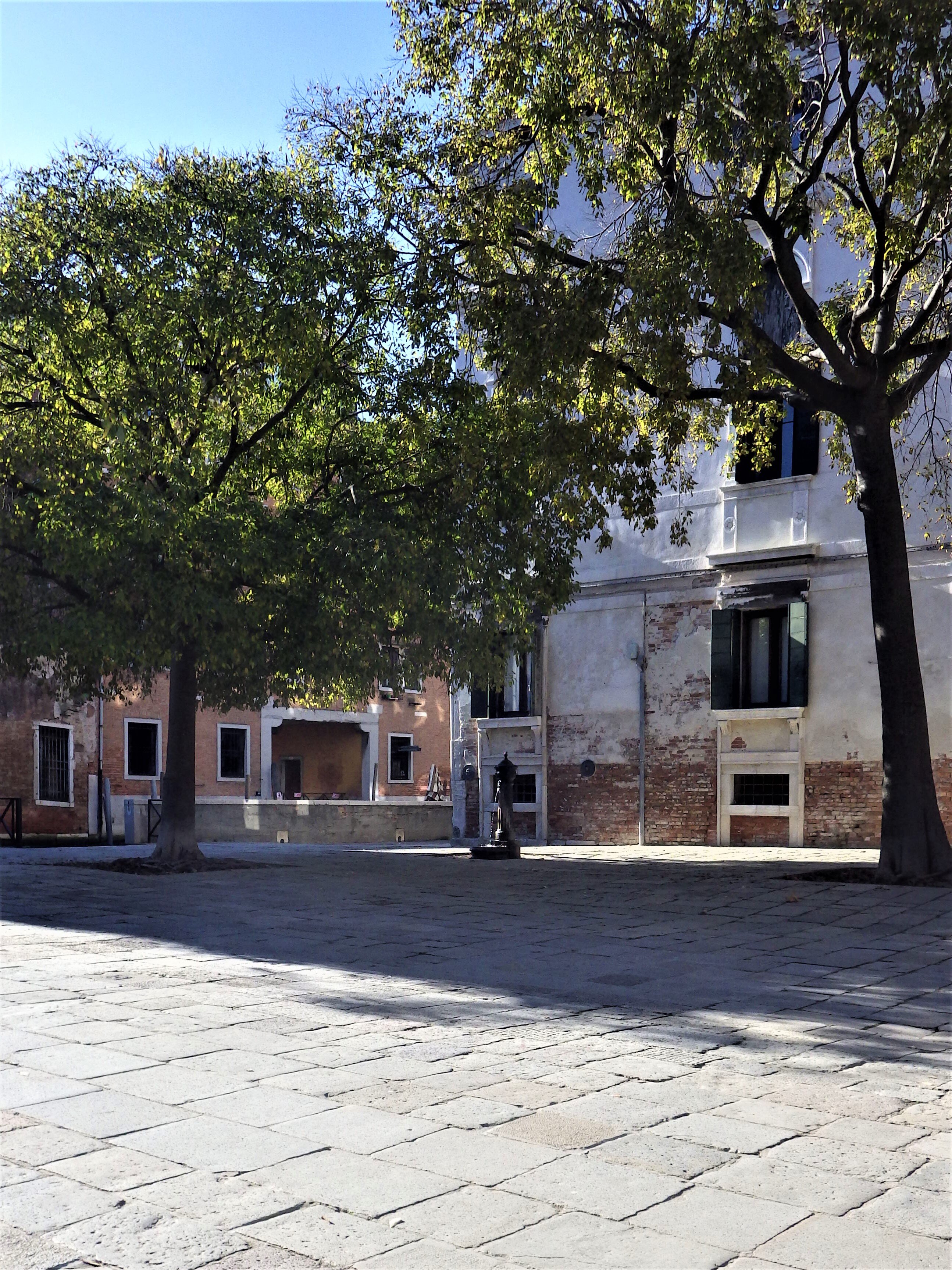 imgp0137.jpeg imgp0137.jpeg