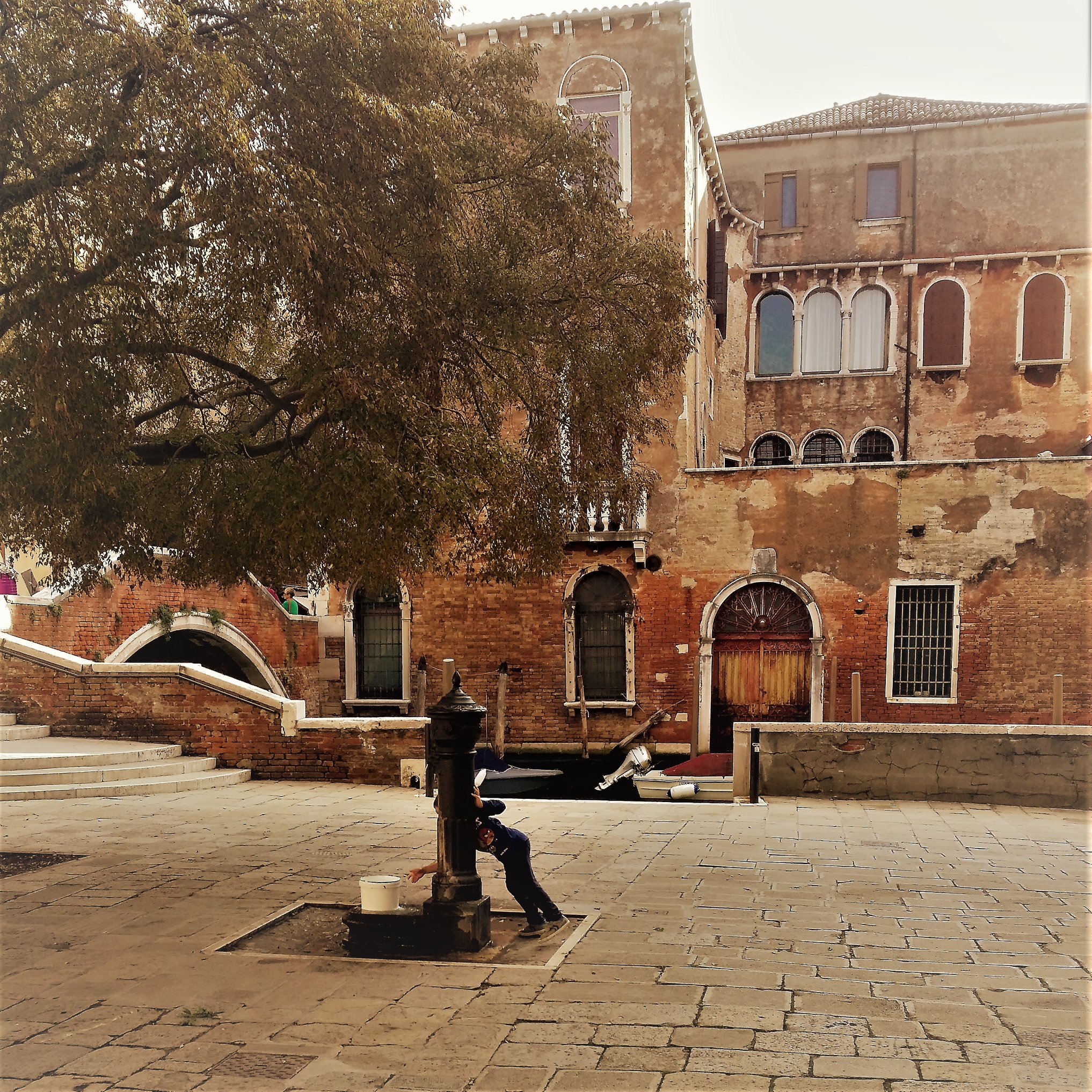 67751583_2592607274124530_855706769836474368_n.jpeg 67751583_2592607274124530_855706769836474368_n.jpeg