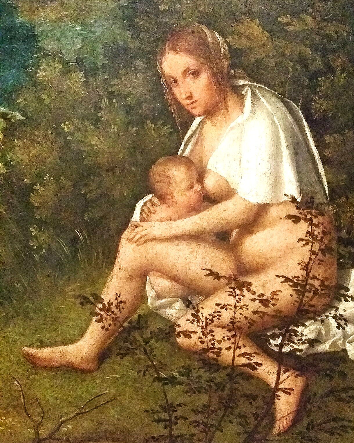 Flusso di coscienza & genio del nostro Alvise