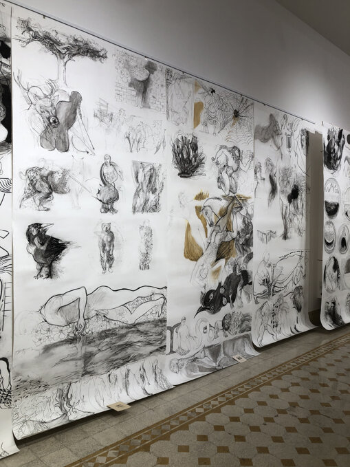 img_7709.jpeg img_7709.jpeg