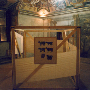 palazzo%20rospigliosi_1988_foto2.jpeg