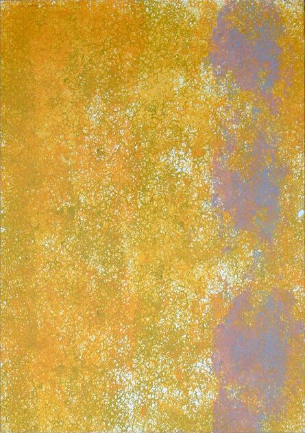 STRUTTURE 5 76x106cm legno e pittura serigrafica su carta in 4 colori
