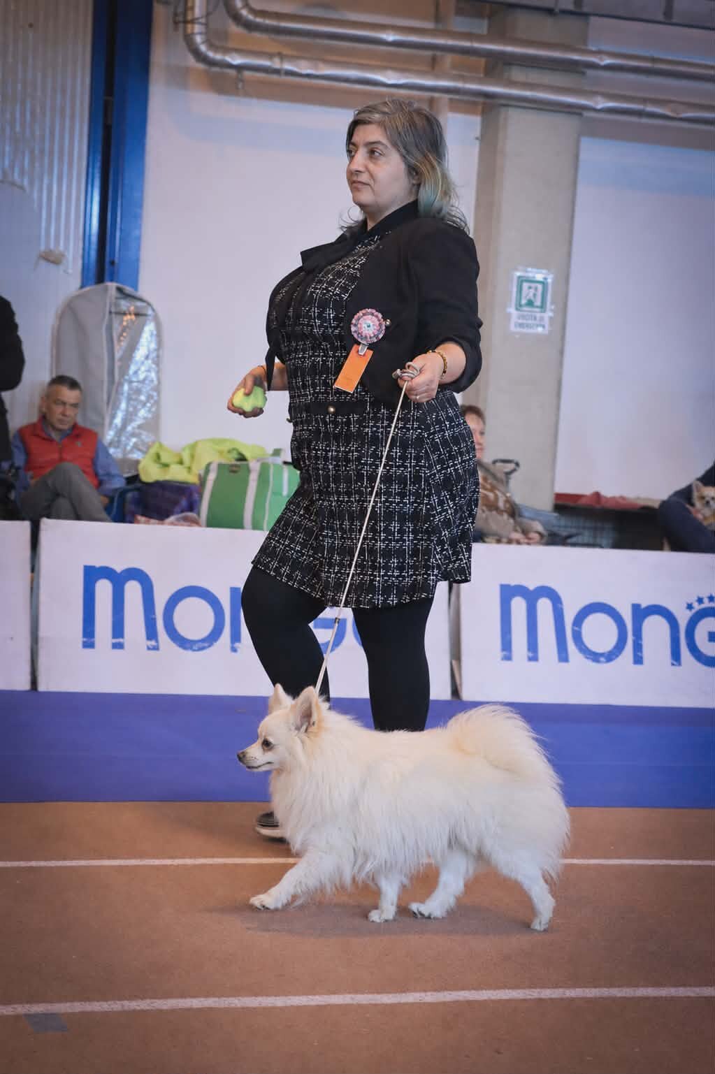 Manolo Campione Italiano