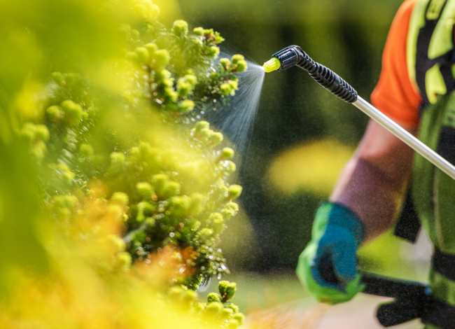 verderame per agricoltura verderame per agricoltura