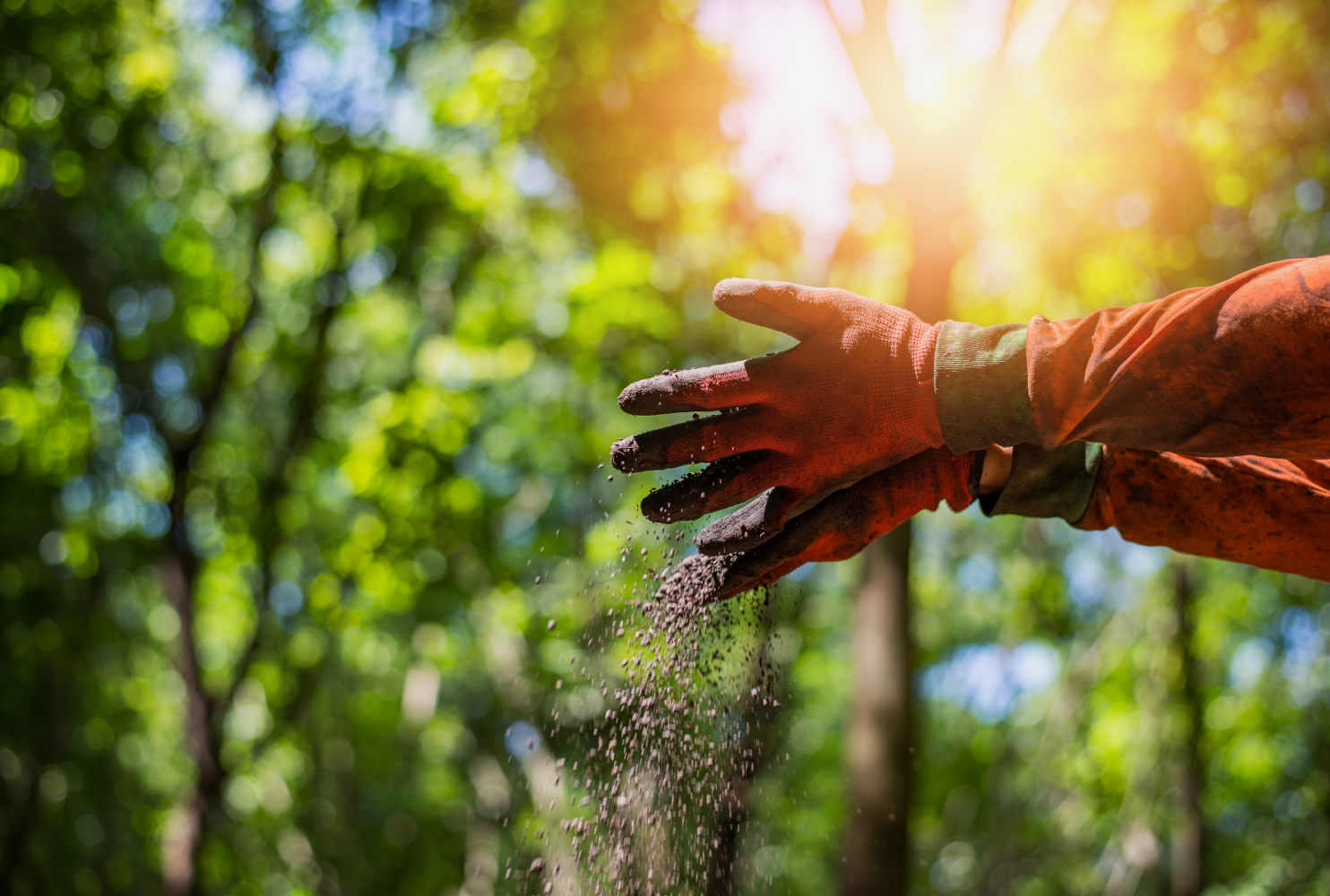prodotti agricoli rameici prodotti agricoli rameici