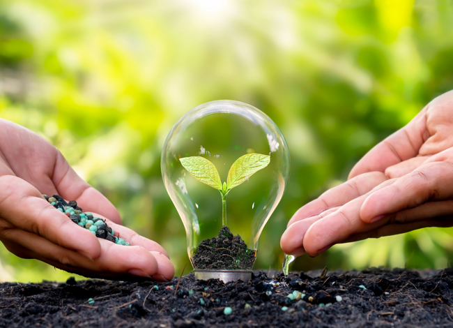 fertilizzanti per agricoltura biologica fertilizzanti per agricoltura biologica