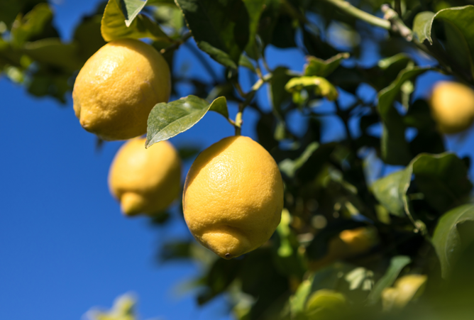 produzione concimi conto terzi produzione concimi conto terzi