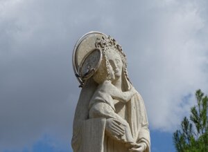 whatsapp_image_2026-02-05_at_13.26.56-removebg-preview - modificata